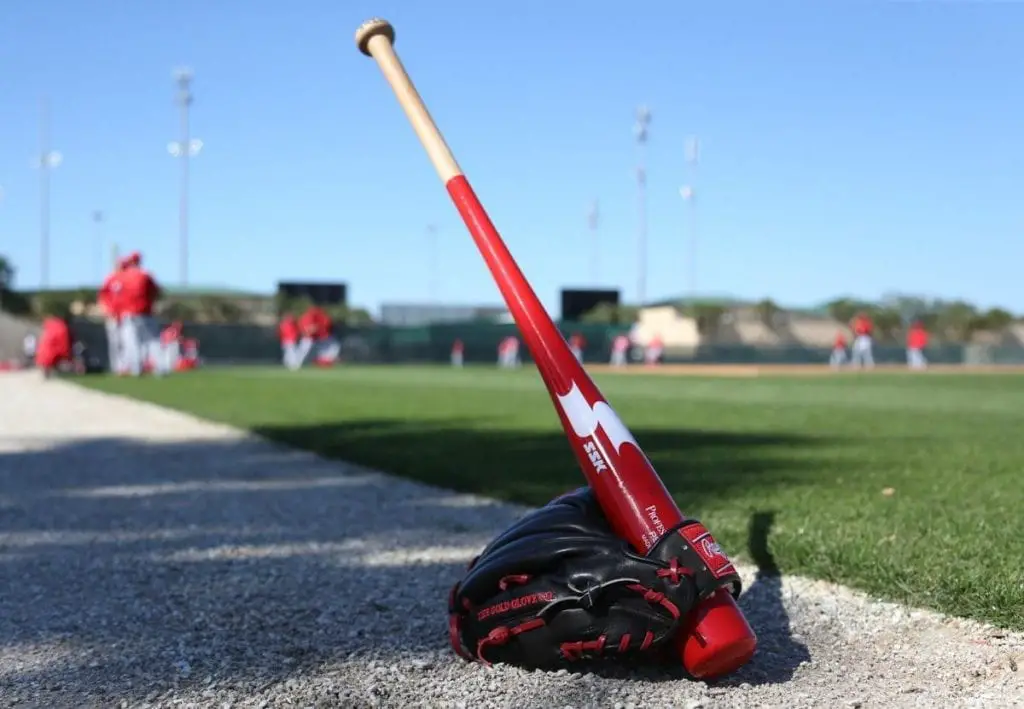 Best Fungo Bats iBatReviews