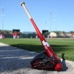 Fungo Bat